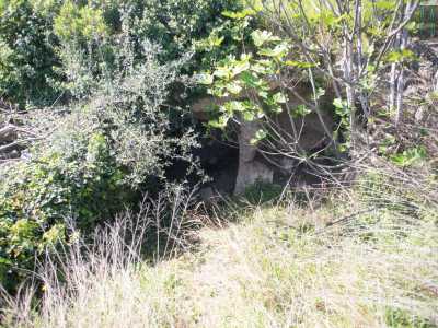 L�accesso a questi locali, introdotto da un albero di fico, si trova sul fianco occidentale